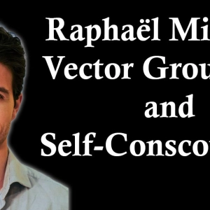 Raphaël Millière: The Vector Grounding Problem and Self-Consciousness