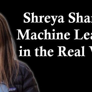 Shreya Shankar: Machine Learning in the Real World