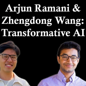 Arjun Ramani & Zhengdong Wang: Why Transformative AI is Really, Really Hard to Achieve