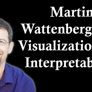 Martin Wattenberg: ML Visualization and Interpretability