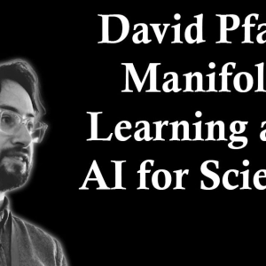 David Pfau: Manifold Factorization and AI for Science