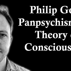 Philip Goff: Panpsychism as a Theory of Consciousness