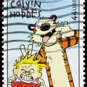 On the Calvinball Field