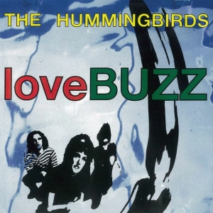 The Hummingbirds Gave the Lemonheads Their Biggest Hit