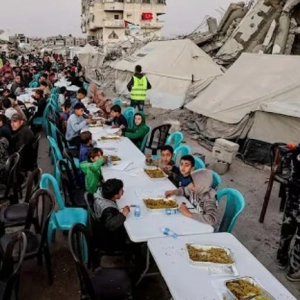 El Niño Speaks 195: When the “Pro‑Palestine” Movement Becomes Kosher Opposition
