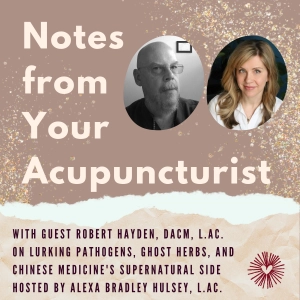 Podcast Ep. 3: Robert Hayden on Lurking Pathogens, Ghost Herbs, and Chinese Medicine’s Supernatural Side