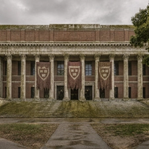 The Wilting Ivies