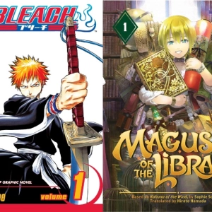Bleach / Magus of the Library