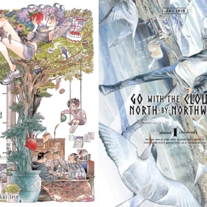 Aki Irie: Ran and the Gray World / Go with the Clouds, North-by-Northwest