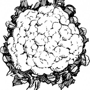 Coliflor sin olor.