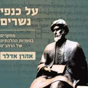 Rambam in the Yeshiva and the University
