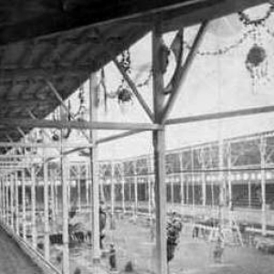 154: The American Championship Belt – 1879