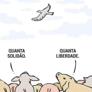 Estar só é solidão ou liberdade?