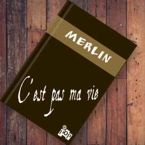 c'est pas vie : merlin