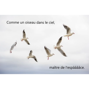 Dieu m'a donné la foi - Ophélie Winter