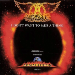 I don't want to miss a thing