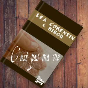 c'est pas un vie de bulliste