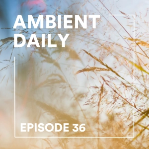 Episode 36 - Summer Breeze