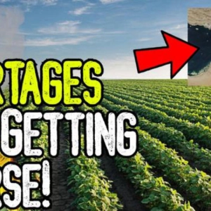 EXPOSED: THE SHORTAGES ARE GETTING WORSE! - Farmers Are Closing Shop! - Here's A Solution