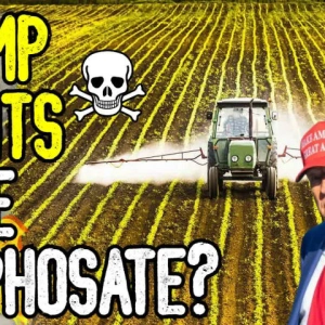 TRUMP WANTS MORE GLYPHOSATE? - The Truth About Glyphosate & Bayer's Legal Liability