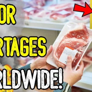 MAJOR SHORTAGES WORLDWIDE! - From Tainted Argentinian Beef To Grid Collapse & Forced Rations!