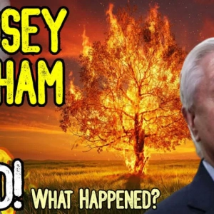 LINDSEY GRAHAM IS DEAD - Here Are The Many Viral Theories Surrounding His Passing!