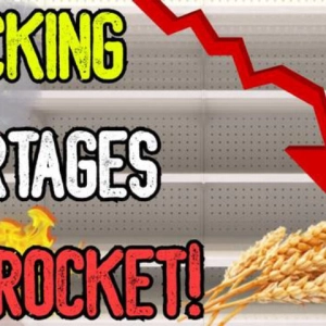 SHOCKING SHORTAGES SKYROCKET! - From Wheat To Fuel & Meat, Experts Warn Of Major Crisis