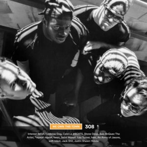 308: Classified under Unclassifiable