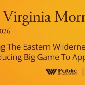 Restoring The Eastern Wilderness By Reintroducing Big Game To Appalachia, This West Virginia Morning