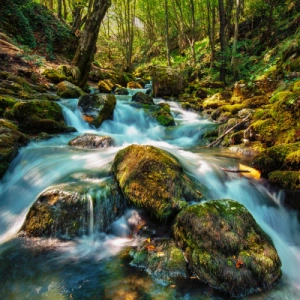 Watersheds & Fire