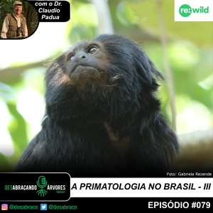 #vAPODN: A primatologia no Brasil – Parte III