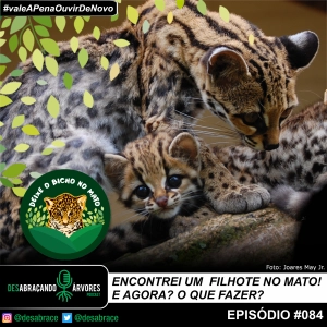 #vAPODN: Encontrei um filhote no mato! E agora? O que fazer?