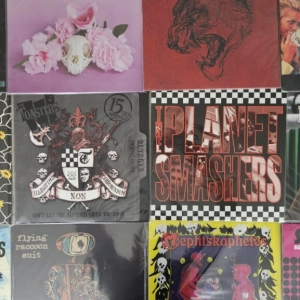 100% Ska Podcast S07E06 – Supernova Preview, Croydon Fest, and more Touring Bands