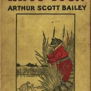 The Tale of Fatty Coon by Arthur Scott Bailey