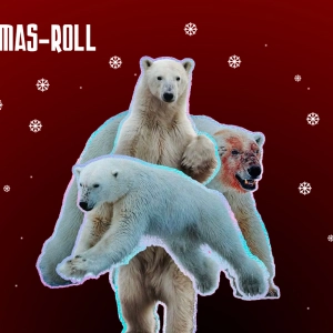 Christmas Roll 2023 Lado A