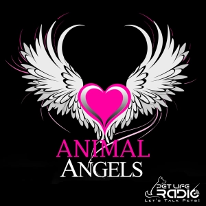 Animal Angels on Pet Life Radio (PetLifeRadio.com)