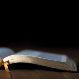 Meditación del Evangelio – 03 de junio de 2026