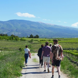 19ᵉ édition du Festival Ventoux Saveurs : l’automne gourmand s’installe au pied du Géant de Provence