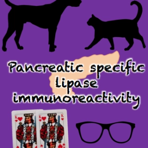 61 Pancreatic lipases