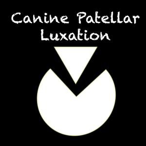 85 Canine Patellar Luxation