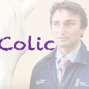 67 Colic