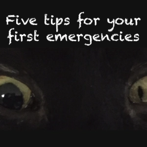 79 Five tips for emergencies