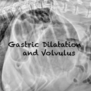 122 Gastric Dilatation and Volvulus