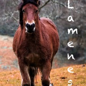 74 Lameness