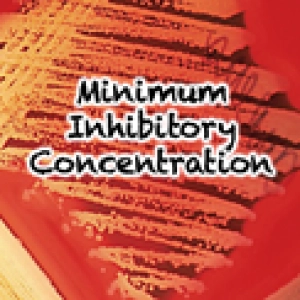 123 Minimum Inhibitory Concentration