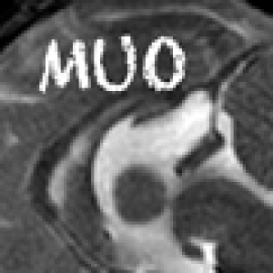104 MUO