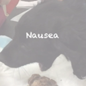 106 Nausea