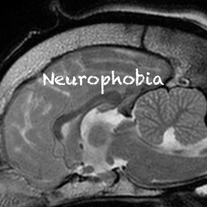 69 Neurophobia