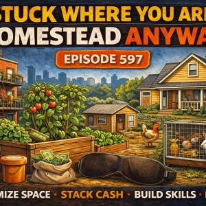 Stuck Where You Are? Homestead Anyway. | Episode 597