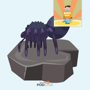 Kids Hour - ชั่วโมงนิทาน : แมงมุมเจ้าเล่ห์กับก้อนหินวิเศษ